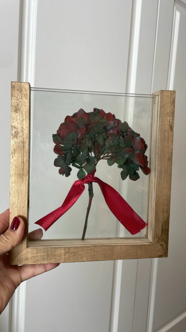 Hortensia en Marco entre cristales color rojo-verde