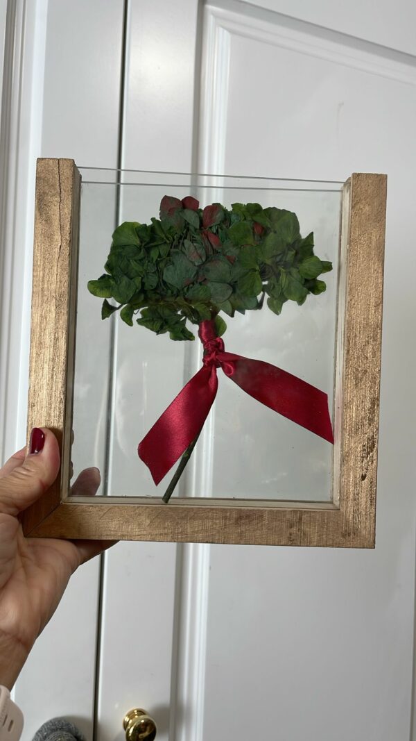 Hortensia en Marco entre cristales color verde-rojo