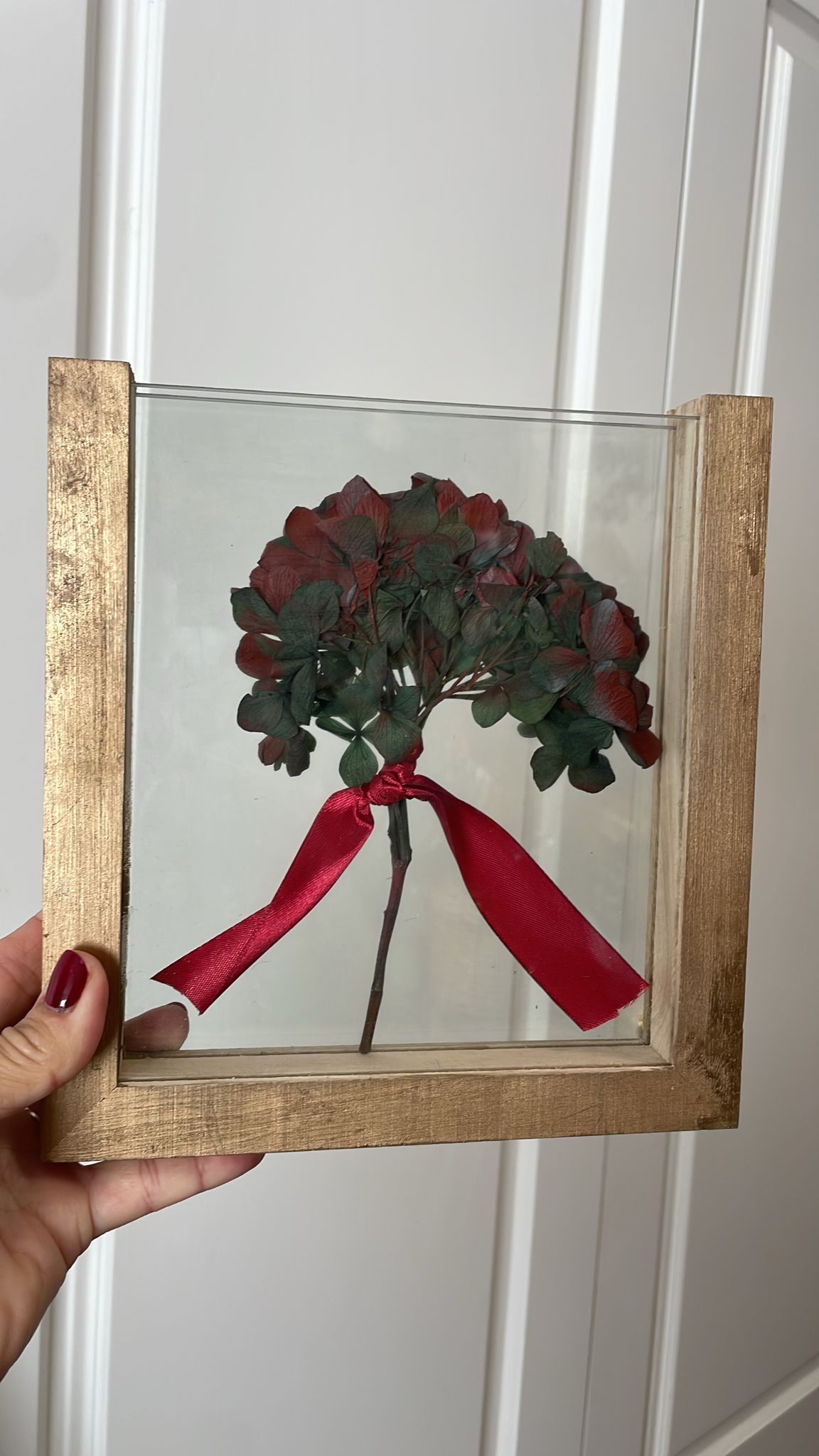 Hortensia en Marco entre cristales color rojo-verde: imagen 1