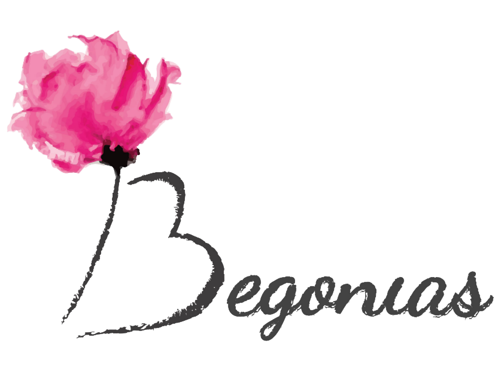 Begonias Flores