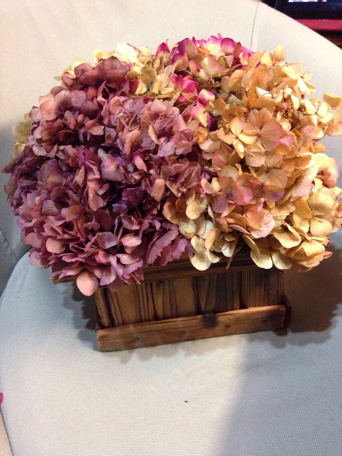 Centro San Fernando (burdeos y fucsia)