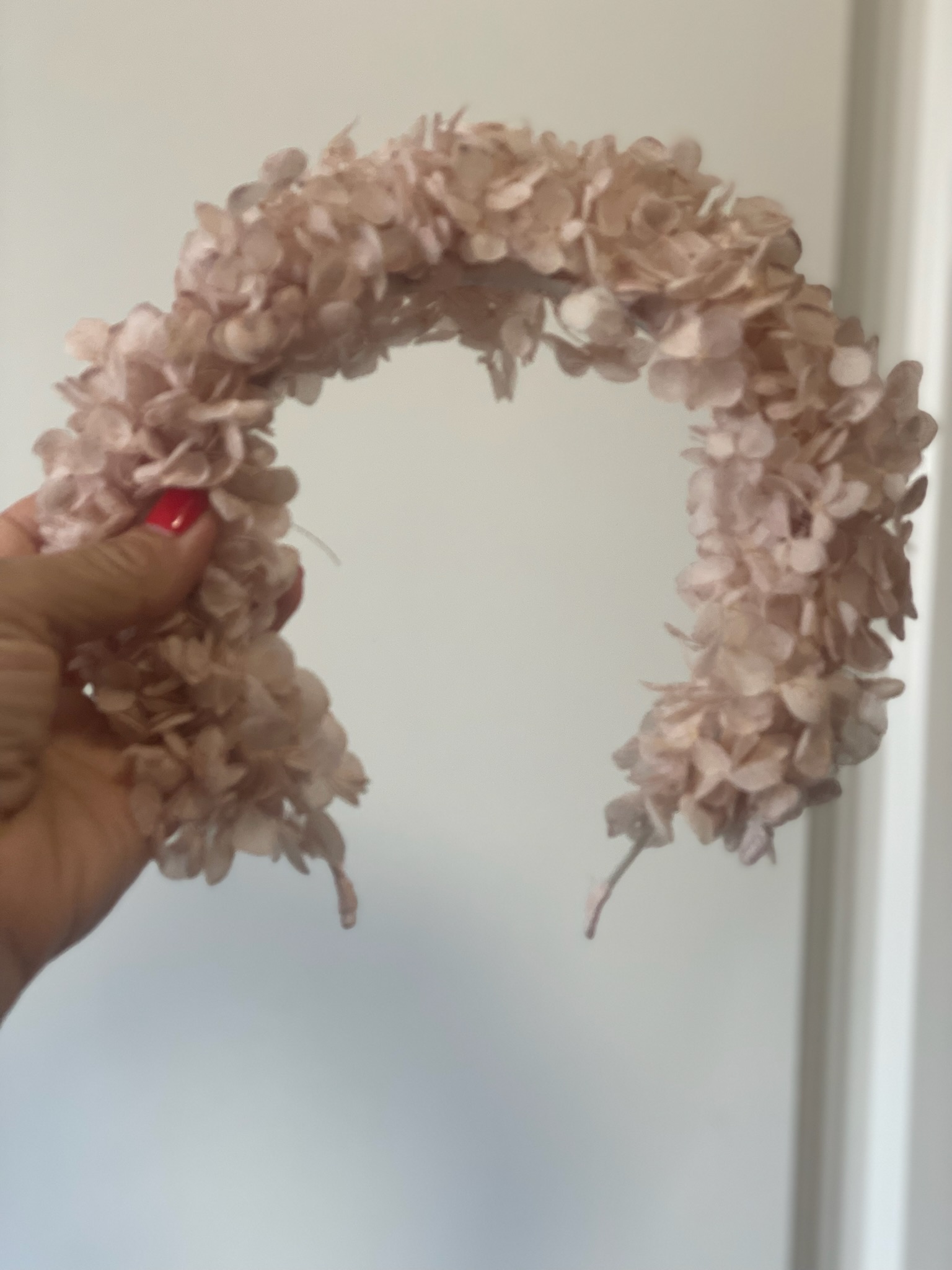 Diadema Hortensia: imagen 1