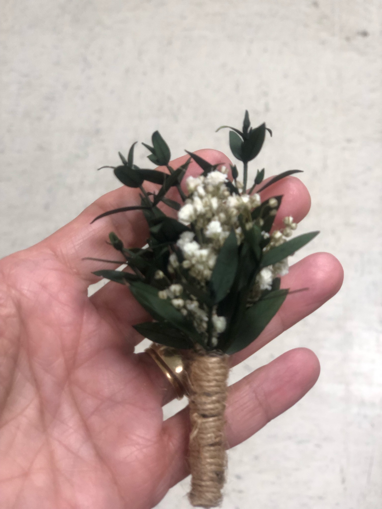 Prendido paniculata: imagen 1