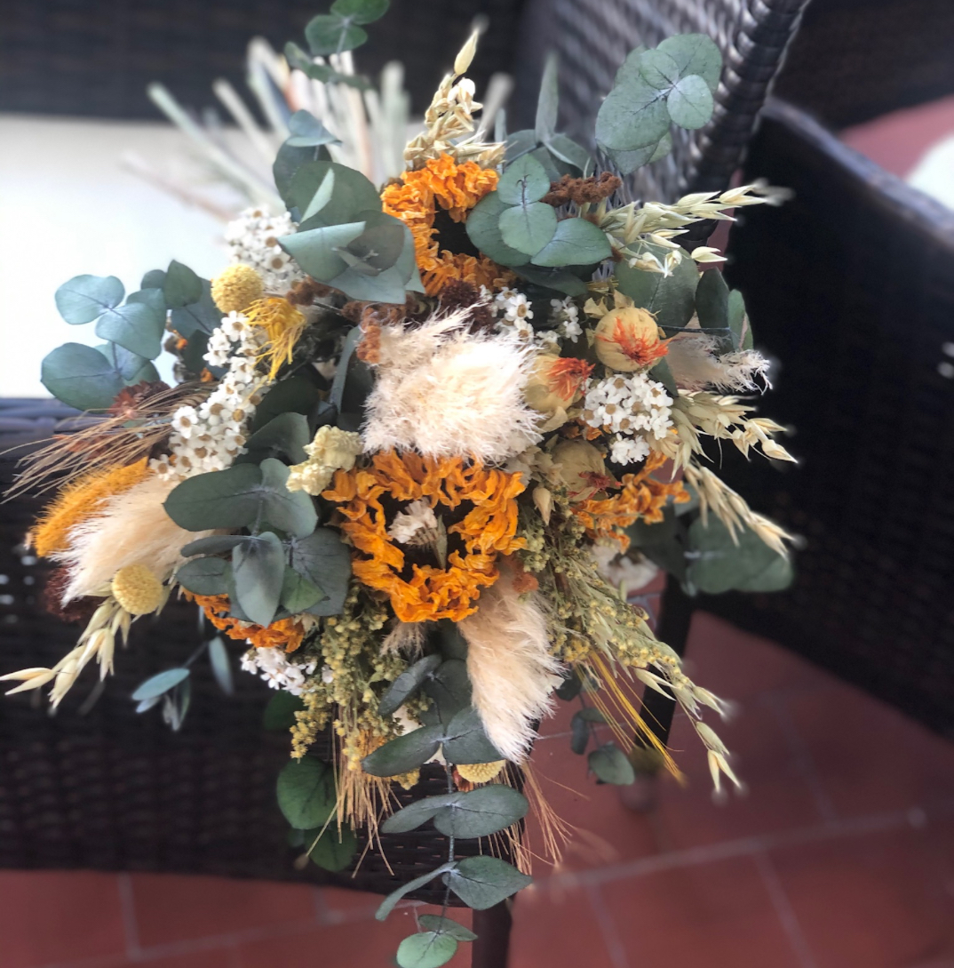 Ramo Barbate: imagen 2